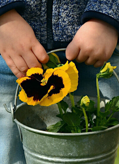 Learn to encourage others from kids - OEP