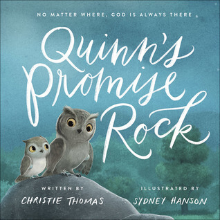 Book cover for Quinn's promise rock
